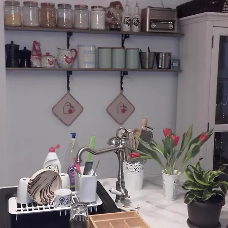 Casa Scheiana Braşov